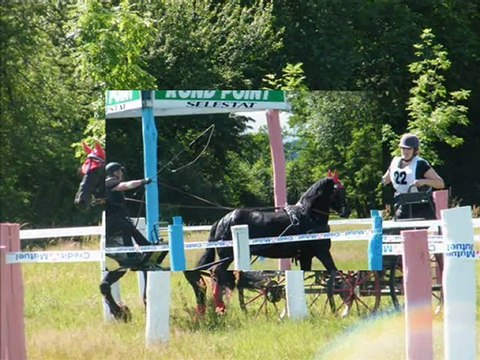 trec attelé 2010_0002