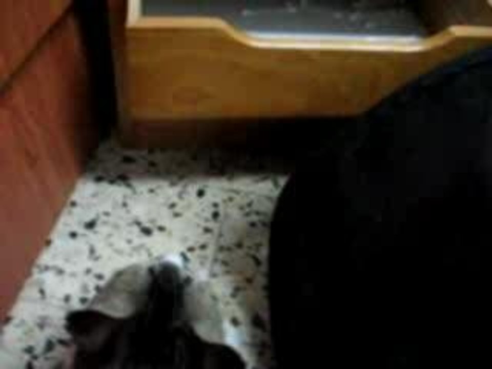 Ben qui ta demander de fermé? mdr