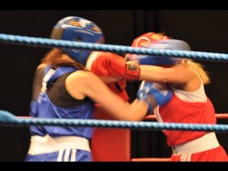 limerick white collar boxing
