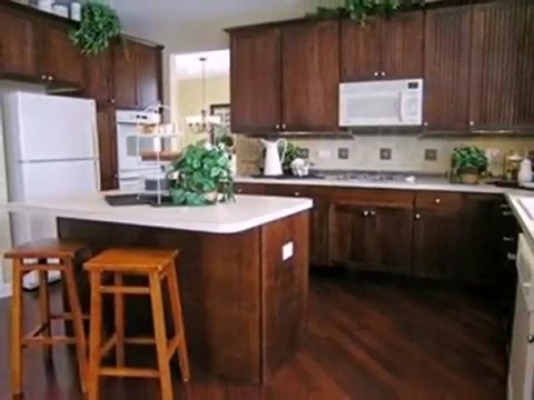 Homes for Sale - 2914 Longcommon Street - Elgin, IL 60124 -