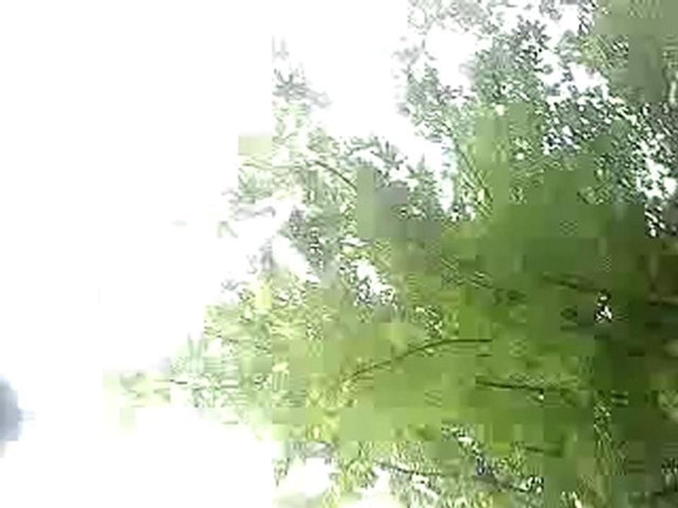 MOV01683