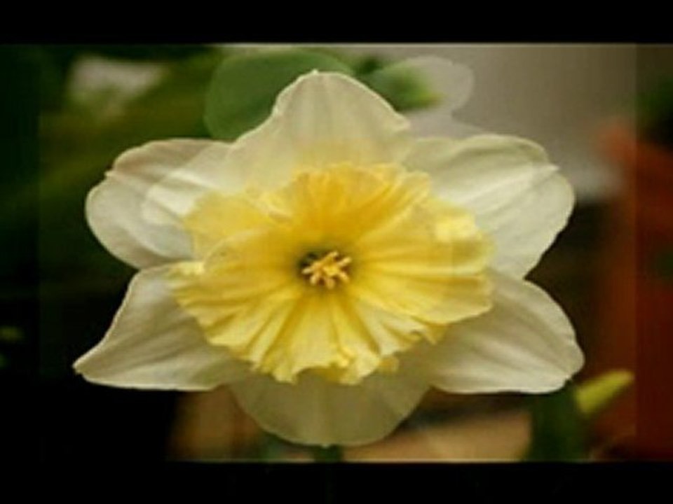 primavera2010
