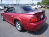 Used 2003 Ford Mustang Kelso WA - by EveryCarListed.com