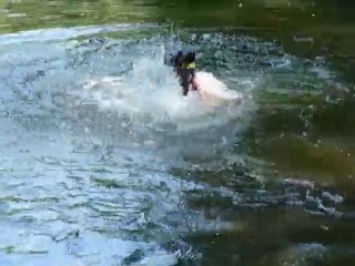 Abyss apprend toujours à nager 2