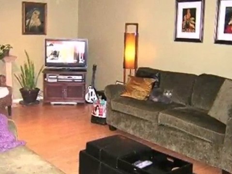 Homes for Sale - 4716 W 106th Pl Apt 3C - Oak Lawn, IL 60453