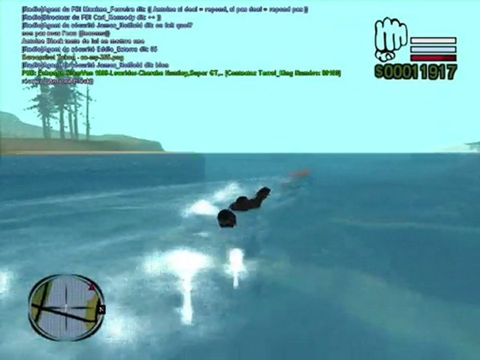 (CMLV) Poursuite à la Nage 2- (rapport)