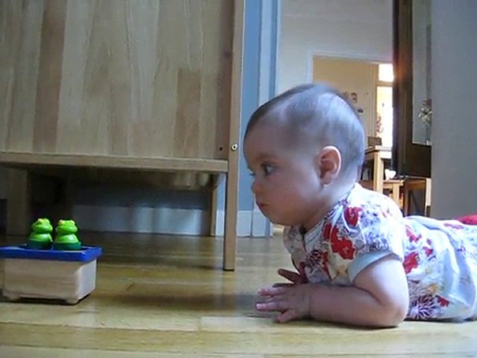 La boite à musique grenouilles