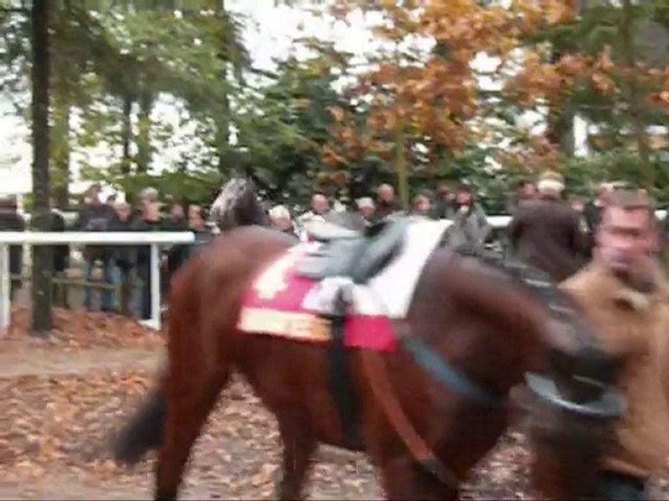 Nantes 15.11.09 3