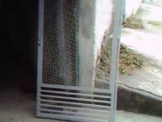 Portão do Serralheiro 1