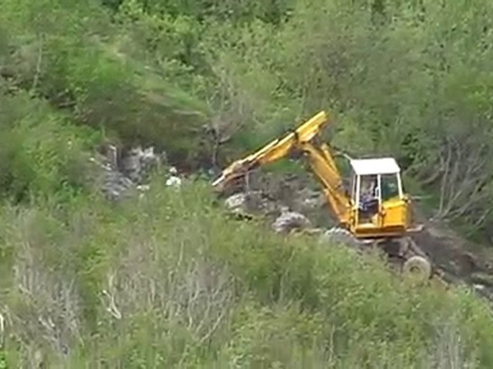 la pelle de la forêt, ou l'appel de la forêt