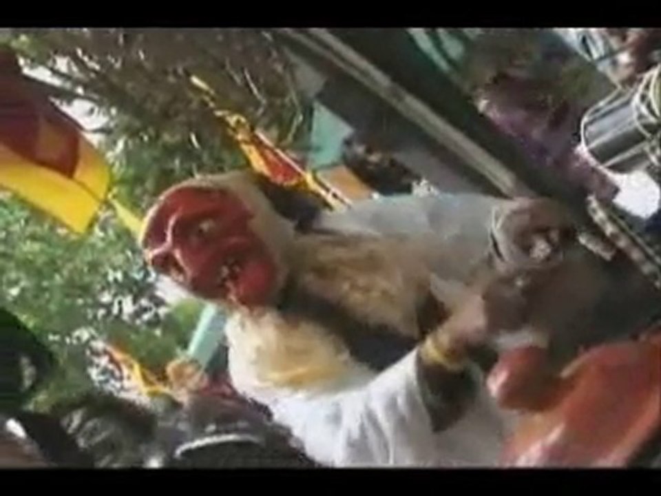 Sri Lankan Day 2010