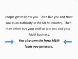MLM Lead Generation is a must for Real Time Leads.