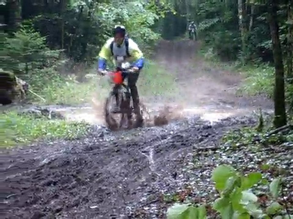 Orgelet VTT 2010