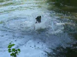 Abyss apprend toujours à nager 3