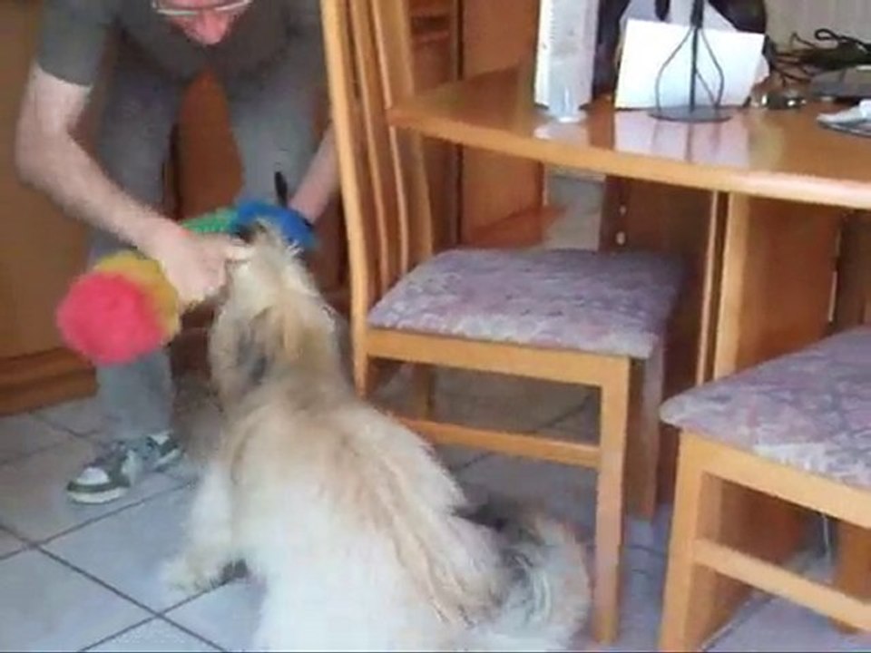 Quand Dingle fait le ménage...