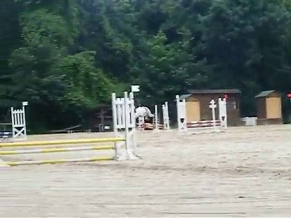 Kango et Elvira - CSO Andilly