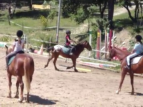 23 JUIN 2010 GALOPS 1 et 2