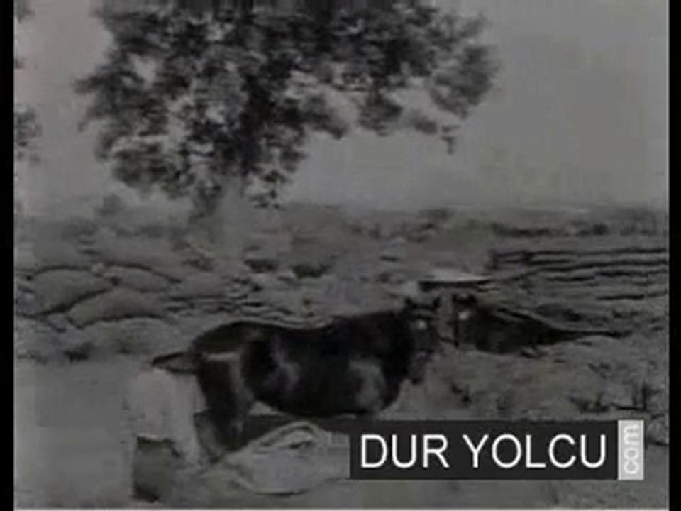 25 nisan 1915 çıkarmasından sonra