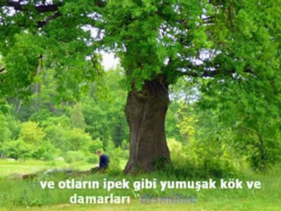her hayırlı  işin başı
