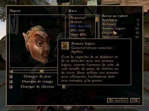 Jouons à Morrowind - 001 (1/2) Formalités administratives
