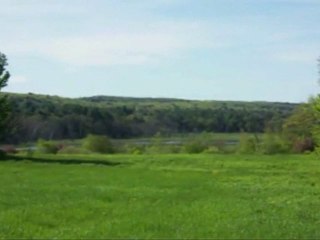 George Carlin - Earth, Nature and Humanity!