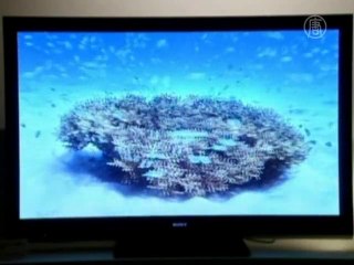 Чемпионат мира по футболу стимулирует бизнес