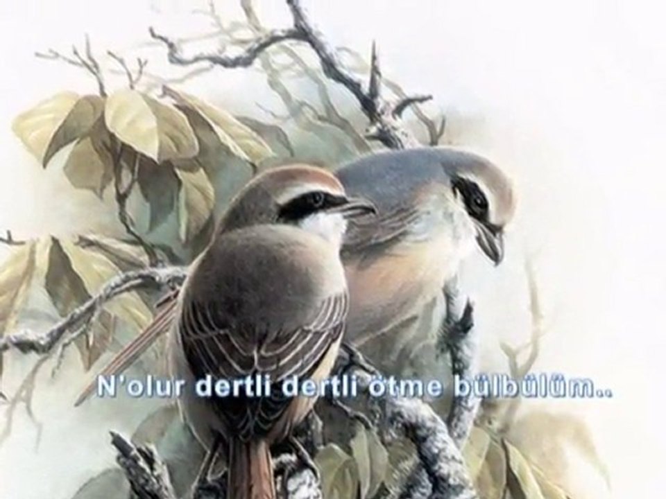 AbdurRahman Önül-Ötme Bülbülüm..