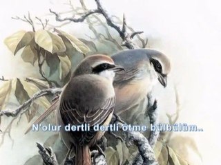 AbdurRahman Önül-Ötme Bülbülüm..