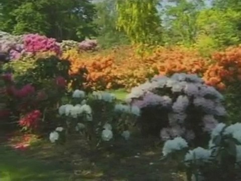 Yusuf Ziya Özkan - Ahiretten Mektup Klipleri - 2 Hesap Günü