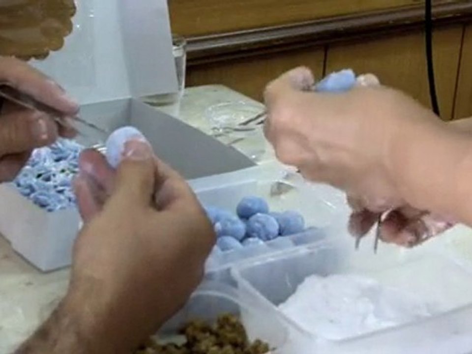 Thai Dumplings Preparation