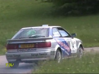 Rallye Ain Jura 2010 T3V-N°3