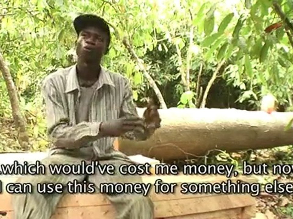 Draft Trees in Local Hands Part 1 - Chainsaws on the Loose