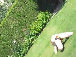 Que des coneries le 23X06X10