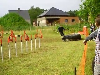 Vast 2 Azur herentals