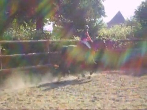 Perlani : Gwen demarrage au trot