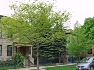 Homes for Sale - 4405 N Greenview Ave - Chicago, IL 60640 -