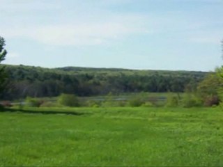 George Carlin - Earth, Nature and Humanity!