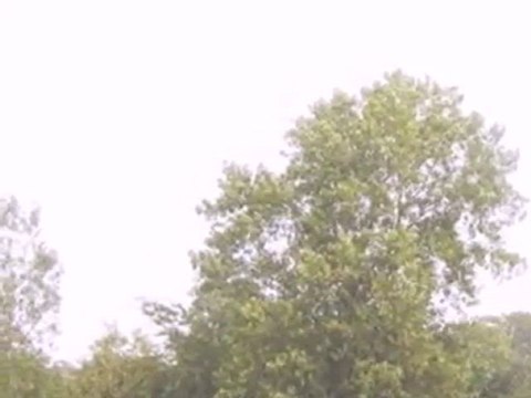 Homes for Sale - 7056 W Foss Rd - Monee, IL 60449 - Coldwell