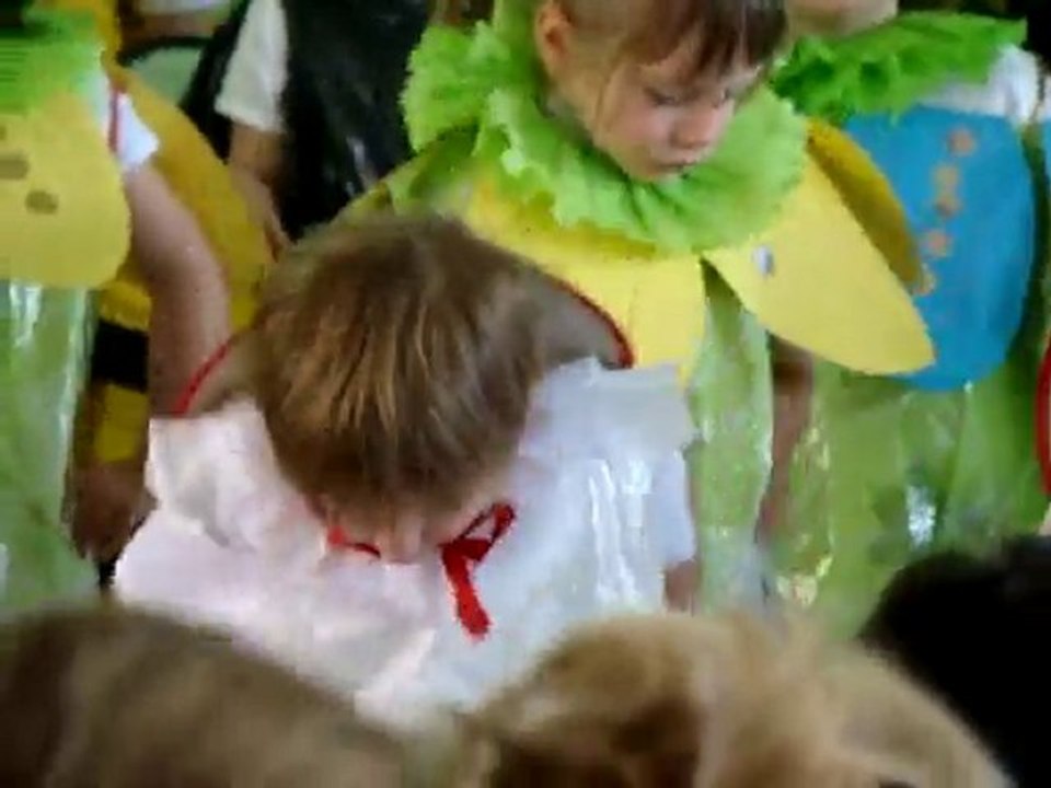 spectacle de l'école