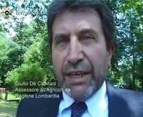 Allarme Tarlo Asiatico: 18mila alberi abbattuti