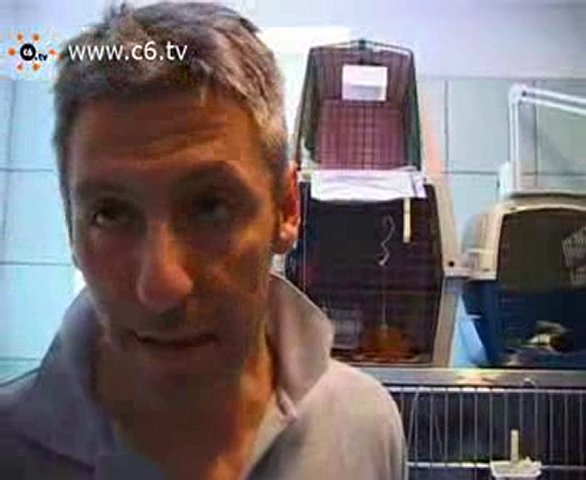 Video Serpente abbandonato in un cortile di XXII Marzo