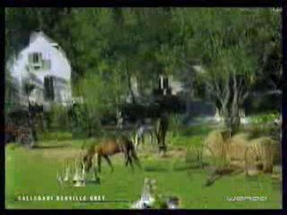 pub française des jeux Dédé