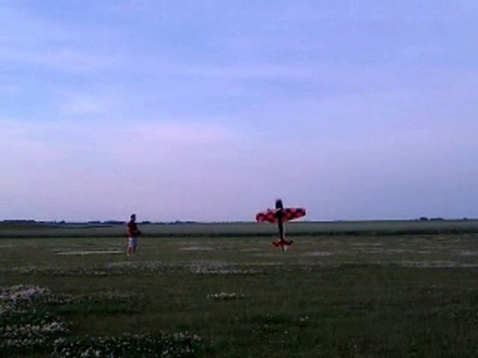 Yak 54 Thunder Tiger torque roll @ JAC