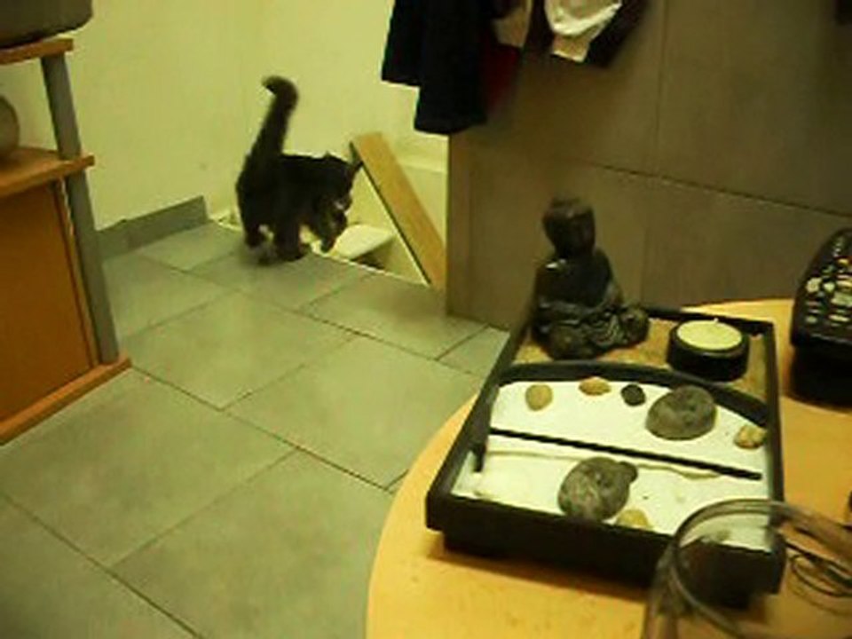 les bebe de pitchou
