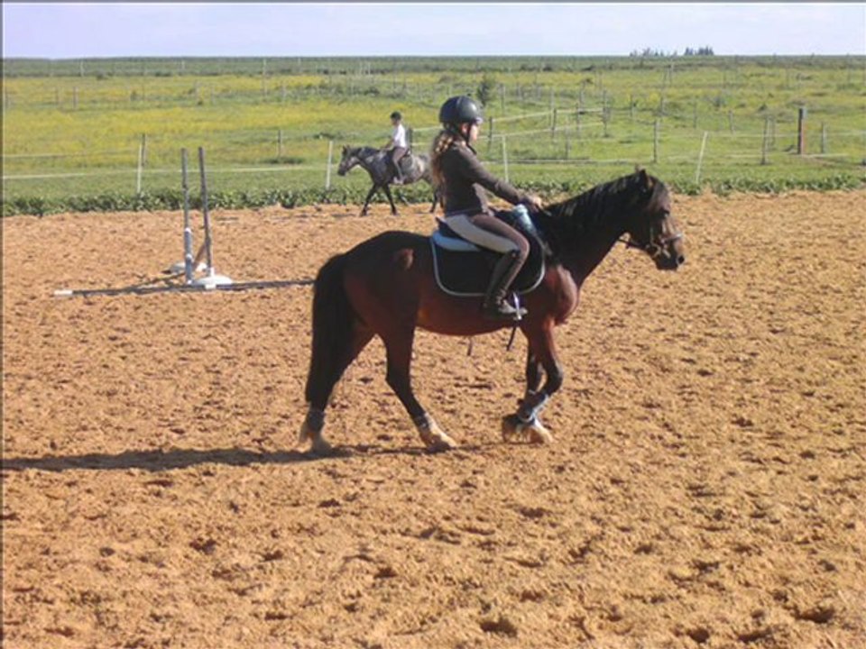 cour de samedi 02-06-2010