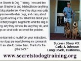 Dog training secrets Without Pet Adoption Rescue The World W