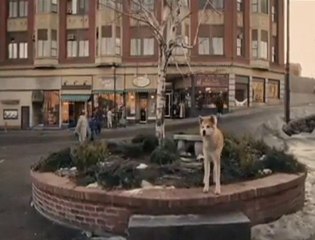 Neden Onlara ''DOST'' Diyoruz..