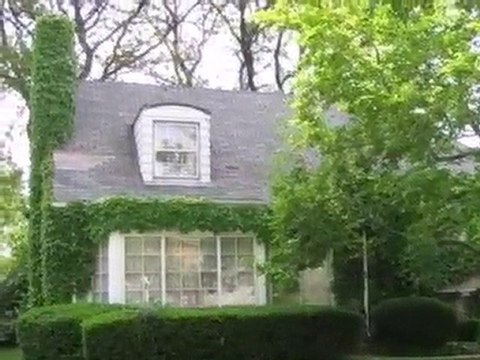 Homes for Sale - 917 Wilkinson Pkwy - Park Ridge, IL 60068 -