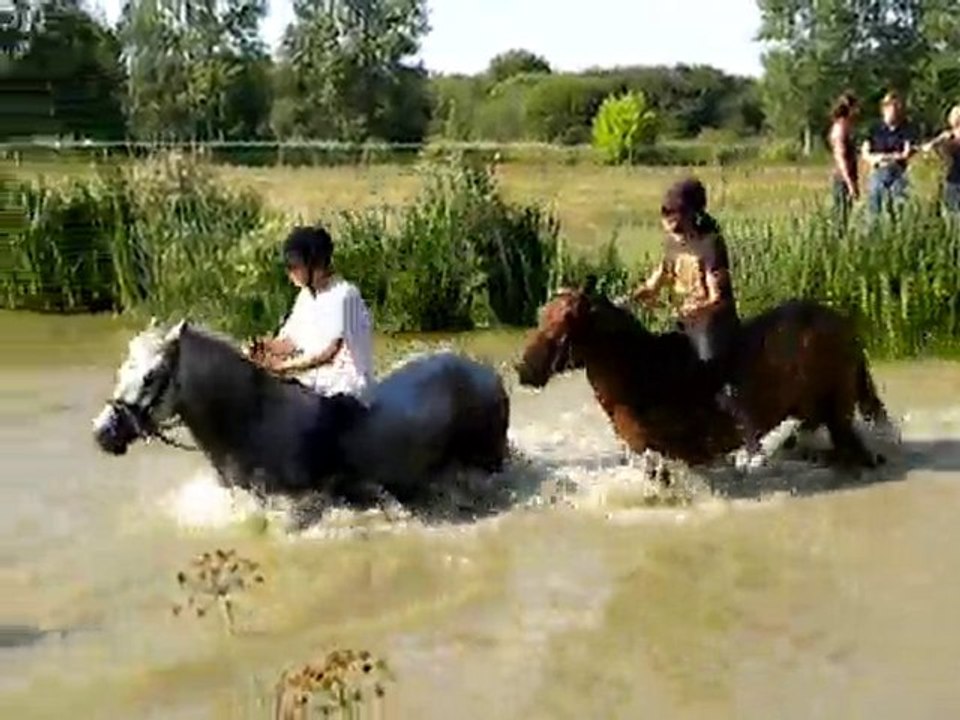 Baignade dans l'étang