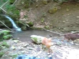 Petite baignade en passant....